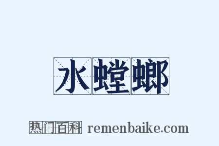 水螳螂是什么意思的图片